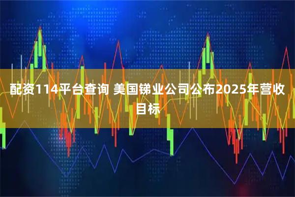 配资114平台查询 美国锑业公司公布2025年营收目标